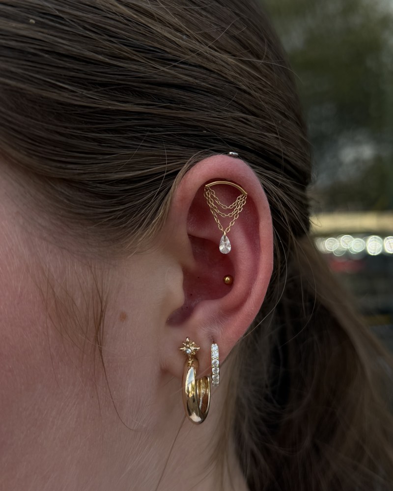 Piercing jewellery and ear styling, photograph 6